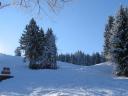 Winterstimmung auf der Bazora - die Sonne steht tief über den verschneiten Alpwiesen